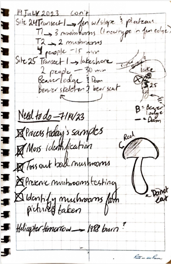 A page containing a to-do list, as well as a drawing of a mushroom.